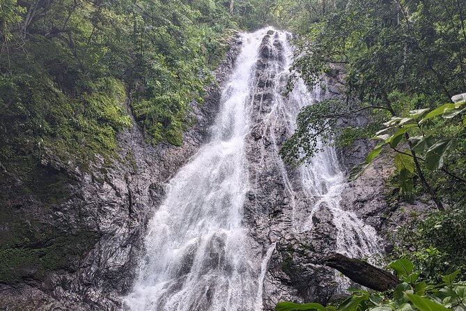 Private Tour Diria National Park Unspoken Hiking and Nature - The Sum Up