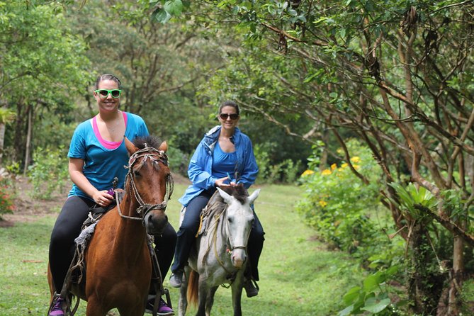 Horseback Riding Tour - FAQ