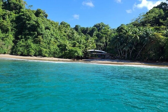 Snorkeling Tour at Caño Island - Key Points