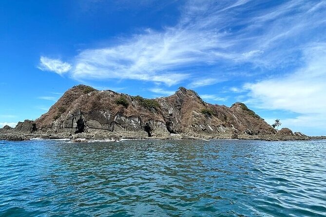 Whale watching Combo Tour Marino Ballena National Park (mid day) - A Deep Dive into the Marino Ballena National Park Whale Watching Tour