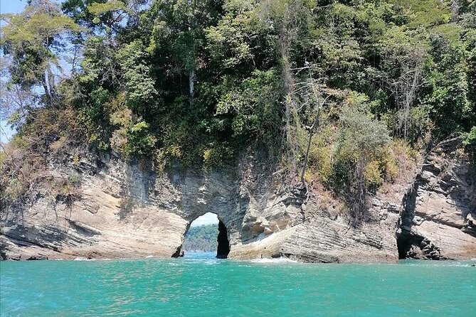 Whale watching Combo Tour Marino Ballena National Park (mid day) - Final Thoughts