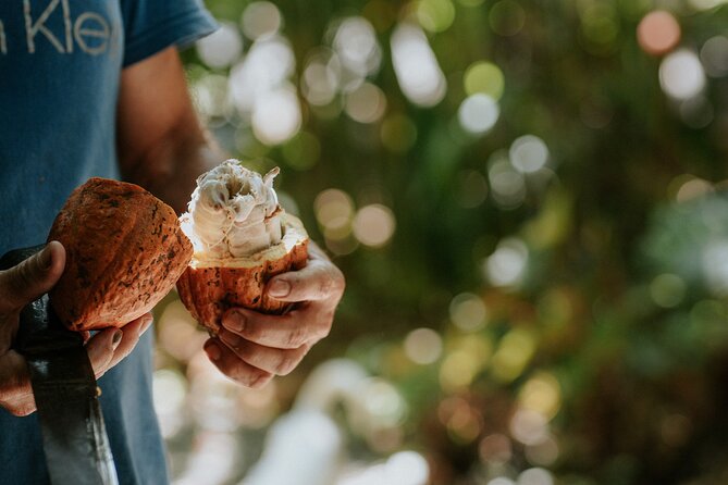 Vanilla, Cacao & Spice Tour in Manuel Antonio - Key Points