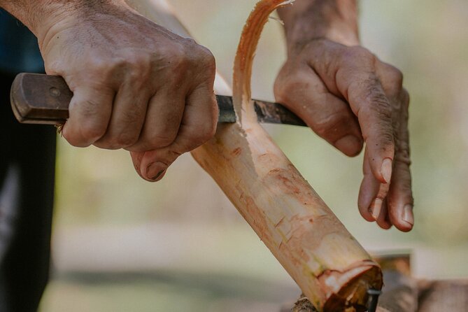 Vanilla, Cacao & Spice Tour in Manuel Antonio - An In-Depth Look at the Vanilla, Cacao & Spice Tour