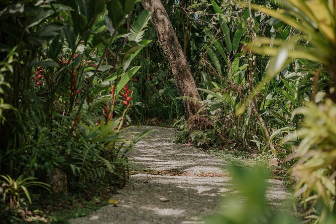 Vanilla, Cacao & Spice Tour in Manuel Antonio - Who Should Consider This Tour?