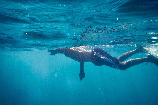 Spider Island Tour & Snorkeling and Bioluminescence from Tambor - Final Thoughts