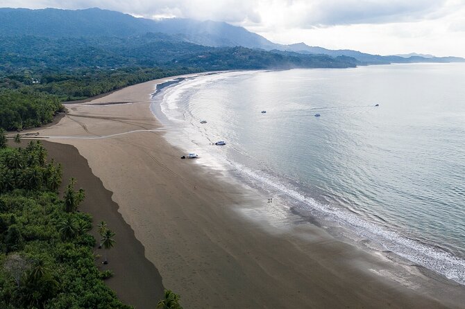 Bahia Ballena Whale and Dolphin Tour - Morning - Who Would Benefit Most from This Tour?