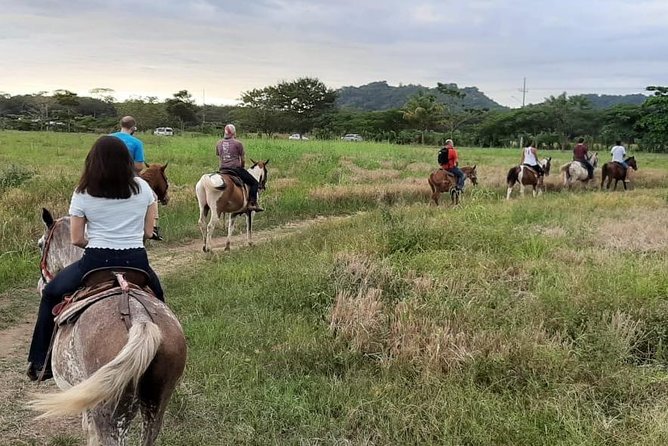Jacó beach horseback riding experience - FAQ