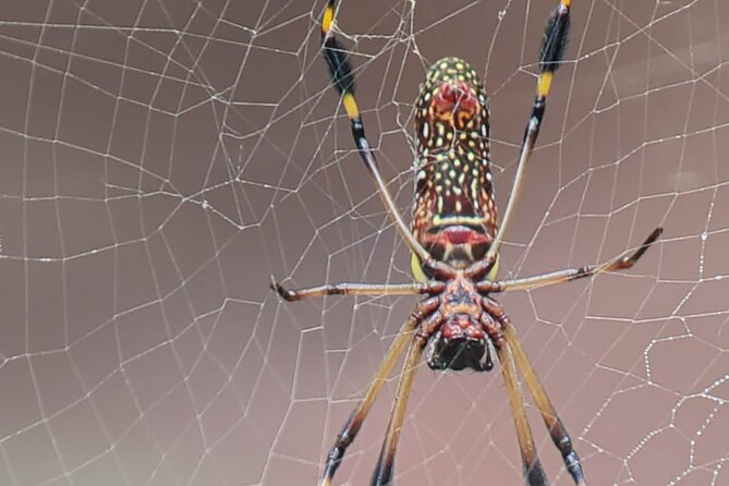 Surf Lessons,Grow your skills into the Pacific Ocean - FAQs