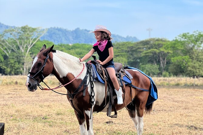 Jaco Beach Horseback Riding Tour - Practical Information