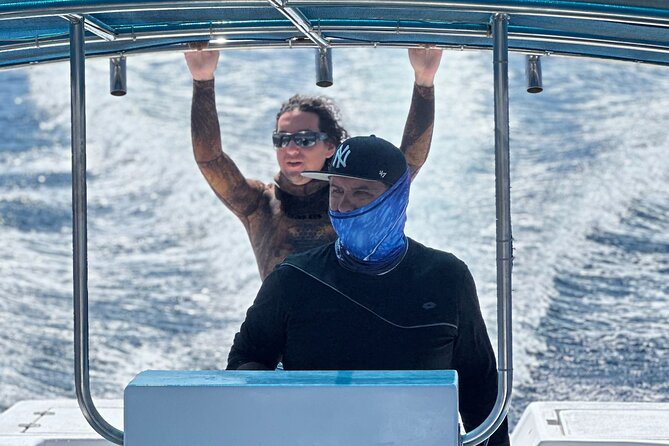 Mobulas Safari and Wildlife in La Ventana with a Marine Biologist - The Experience in Detail