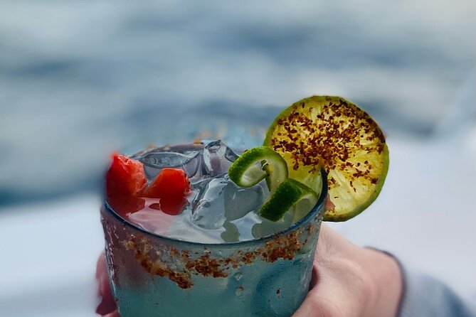 Private Sunset Cruise in San Jose del Cabo Appetizers,open bar - Who Is This Experience Perfect For?