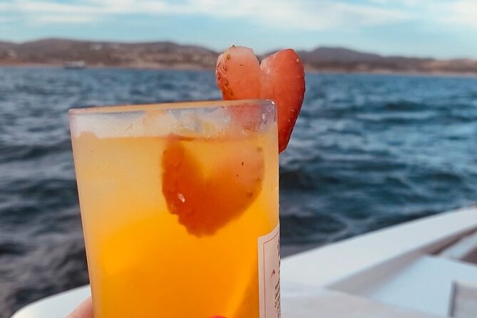 Private Sunset Cruise in San Jose del Cabo Appetizers,open bar - The Sum Up