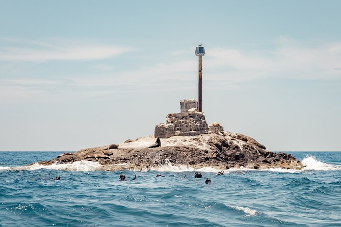 Marine Safari in La Ventana - FAQ