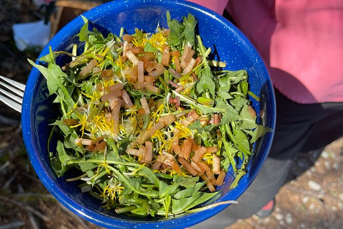 Backcountry Eats & Foraging Treats - What to Expect from the Tour