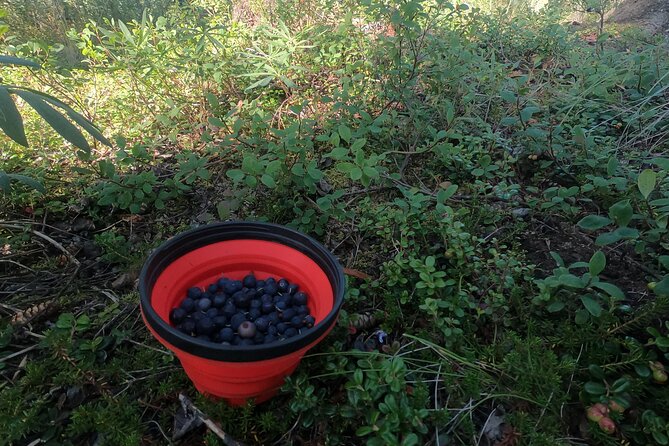 Backcountry Eats & Foraging Treats - Frequently Asked Questions