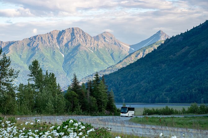 Anchorage to Whittier Direct Transfer Tour - Why the Scenic Route Matters