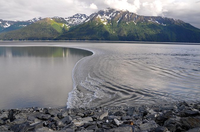 Anchorage to Whittier Direct Transfer Tour - The Sum Up