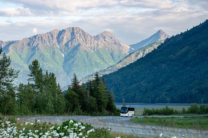 Anchorage to Whittier Direct Transfer Tour - Authentic, Knowledgeable Guides