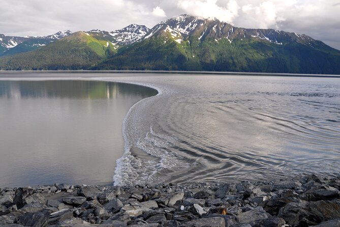 Anchorage to Whittier Direct Transfer Tour - Good To Know