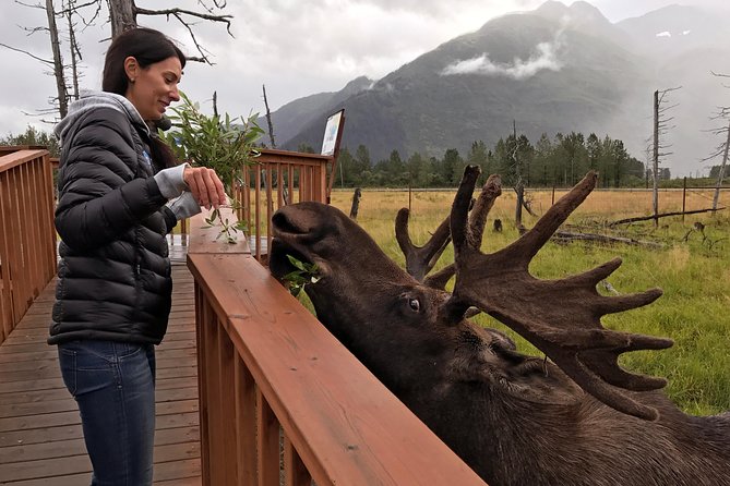 Glaciers and Wildlife: Super Scenic Day Tour from Anchorage - FAQ