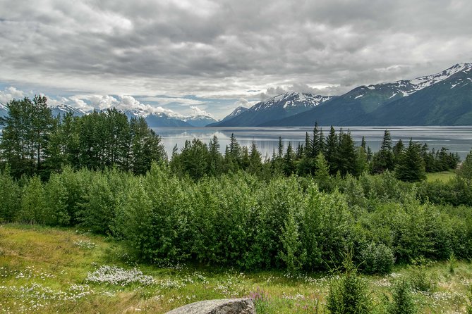 Glaciers and Wildlife: Super Scenic Day Tour from Anchorage - Who Would Enjoy This Tour?