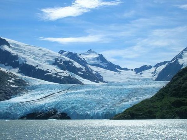 Glacier & Wildlife Discovery Tour - Introduction: A Scenic Day in Alaska’s Wilderness