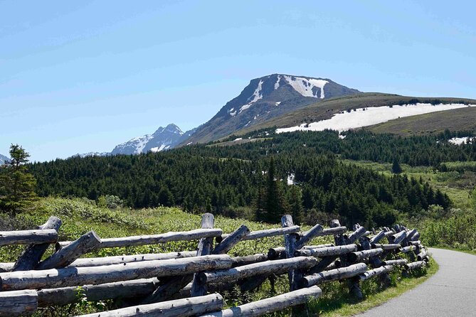 Private Scenic Turnagain Arm Glacier Tour from Anchorage - Why This Tour Offers Great Value