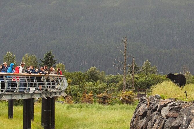 Private Scenic Turnagain Arm Glacier Tour from Anchorage - An In-Depth Look at the Itinerary