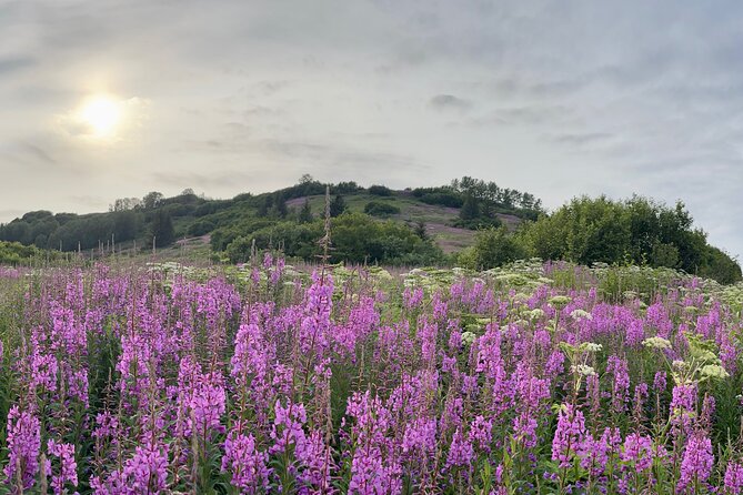 Private Scenic Turnagain Arm Glacier Tour from Anchorage - Practical Considerations and Tips