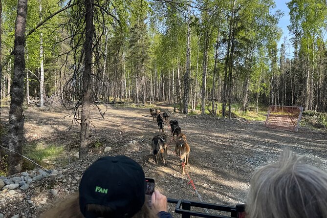 Anchorage's Authentic Dog Sledding Experience - Practical Tips for Booking