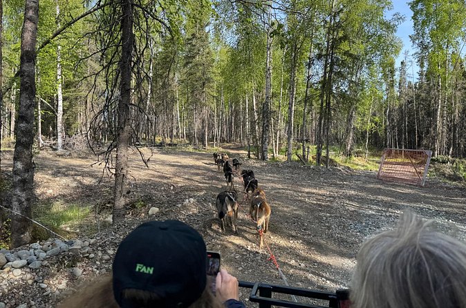 Anchorage's Authentic Dog Sledding Experience - Authenticity and Passion from the Guides