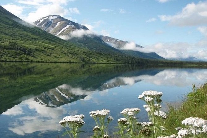 Anchorage to Seward Cruise Transfer and Private Tour - A Closer Look at the Itinerary and Highlights