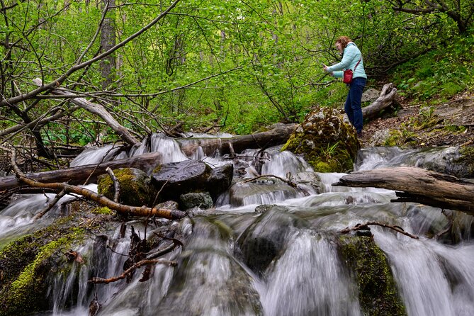 Turnagain Arm Highlights Photo Tour - Final Thoughts