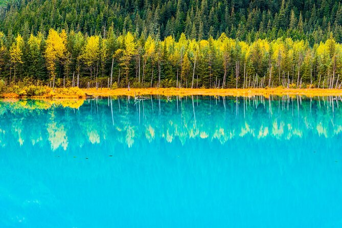 Turnagain Arm Highlights Photo Tour - Who Will Love This Experience?