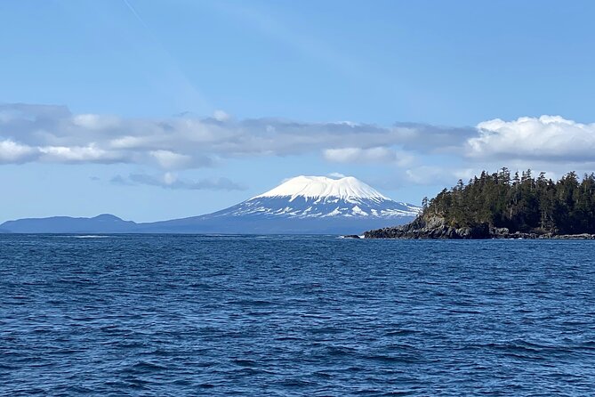 Experience Local Marine Wildlife Tour - Pricing and Overall Value