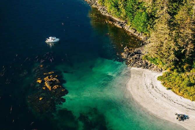 Islands of Wonder: Sitka Wildlife Boat Adventure (4 hours) - An In-Depth Look at the Islands of Wonder: Sitka Wildlife Boat Adventure