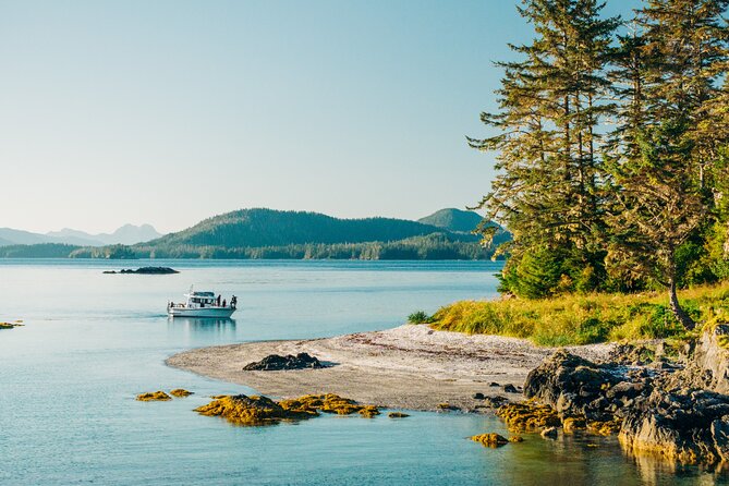 Islands of Wonder: Sitka Wildlife Boat Adventure (4 hours) - Discover Sitka’s Untamed Coast on the Islands of Wonder Wildlife Boat Adventure