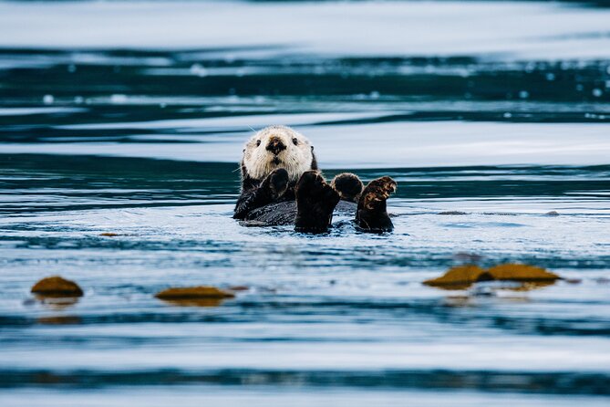 Private Wildlife Photography Workshop: Sitka Boat Tour (Full Day) - Who Will Love This Experience?
