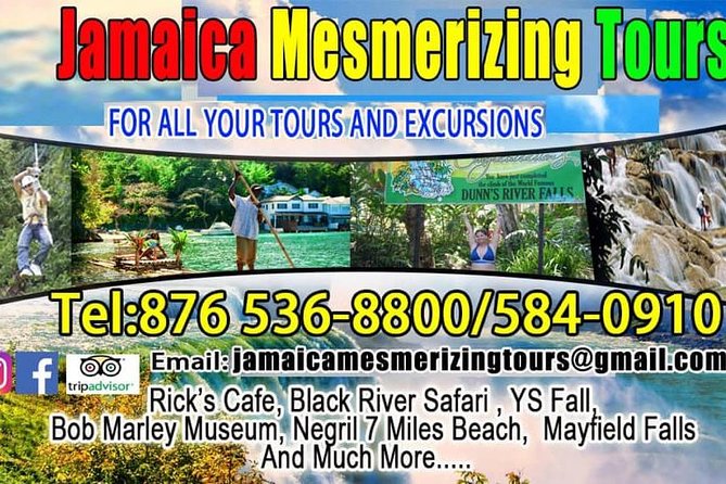 Ocean Eden Bay Private Airport Transfer - Key Points