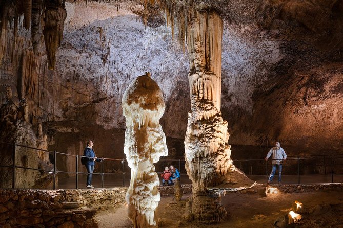 Shore Excursion/Private - Postojna Cave and Ljubljana from Koper - Who Should Consider This Tour?