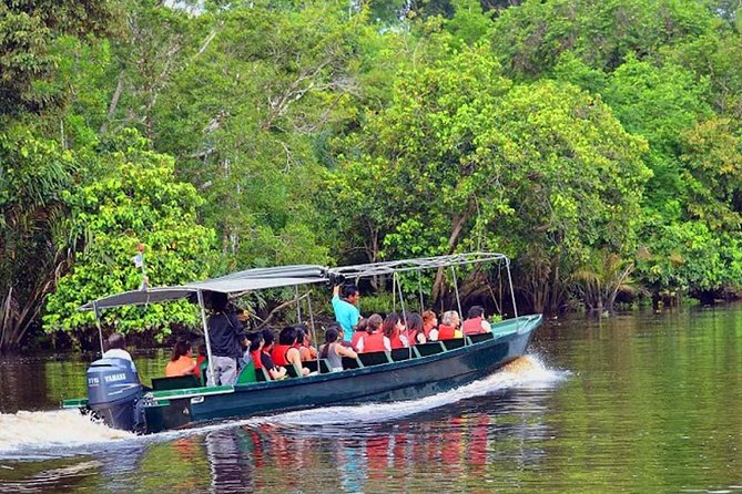 Klias River Fireflies & Wildlife Safari Cruise from Kota Kinabalu - Frequently Asked Questions