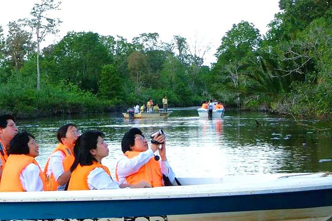 Klias River Fireflies & Wildlife Safari Cruise from Kota Kinabalu - Key Points