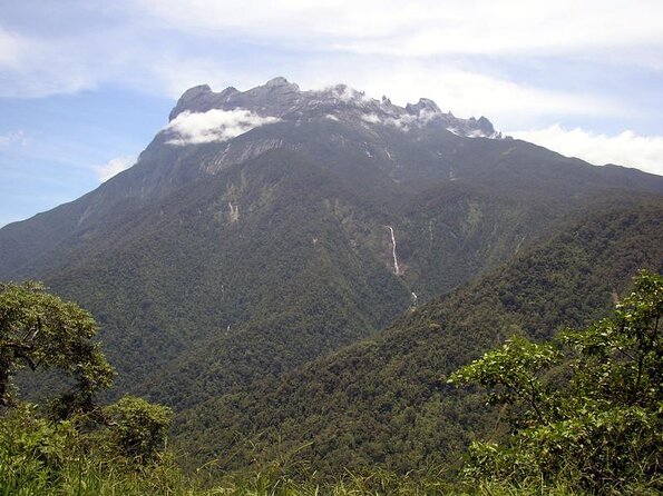 Kinabalu Park & Poring Hot Spring Tour - What the Reviews Say