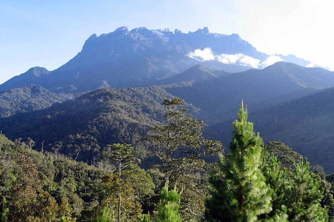 Kinabalu Park & Poring Hot Spring Tour - An In-Depth Look at the Tour Experience