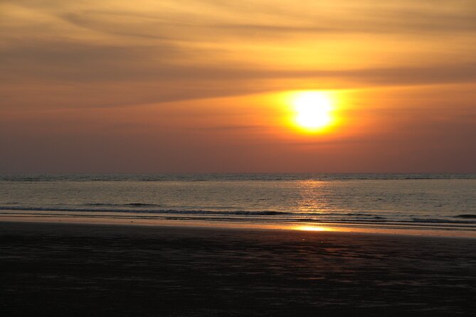 Kota Kinabalu: Beringgis Mangove Fireflies, Sunset Tour & Dinner - Final Thoughts: Who Will Love This Tour?