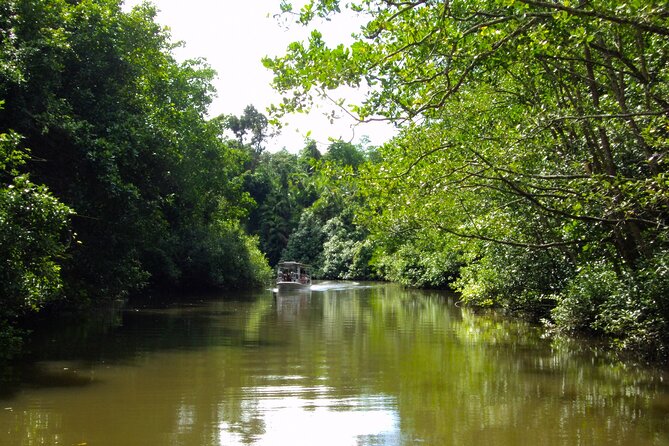 Kota Kinabalu: Beringgis Mangove Fireflies, Sunset Tour & Dinner - Authenticity and Value