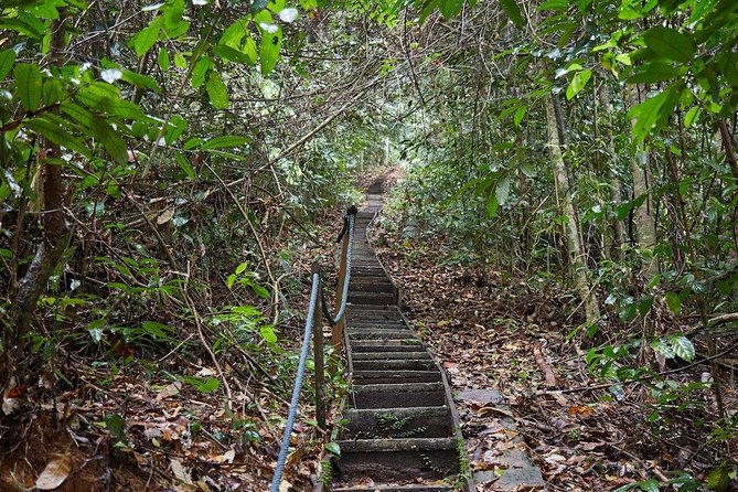 Gunung Gading National Park Tour - Practical Considerations and Tips