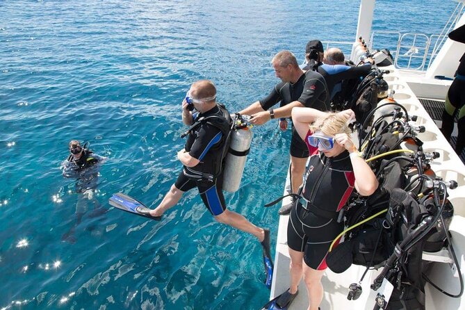 Catalina Island tour - A Closer Look at the Catalina Island Tour