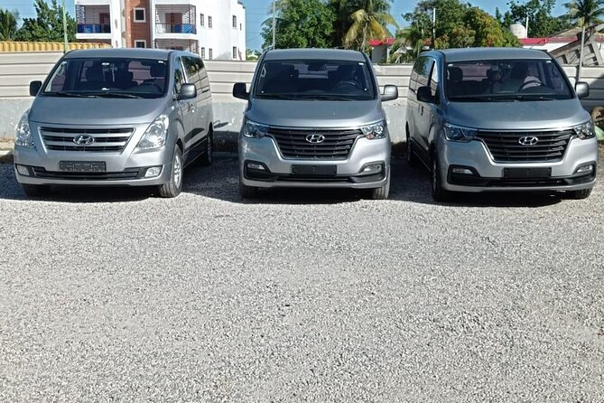 Private Rountrip Transfer Punta Cana Airport to Hotels Bayahibe - Quick Overview of the Transfer Experience
