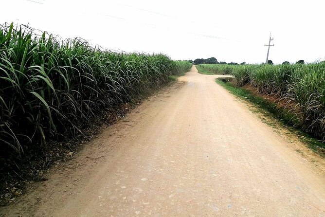 Bayahibe Safari Discovery - Frequently Asked Questions